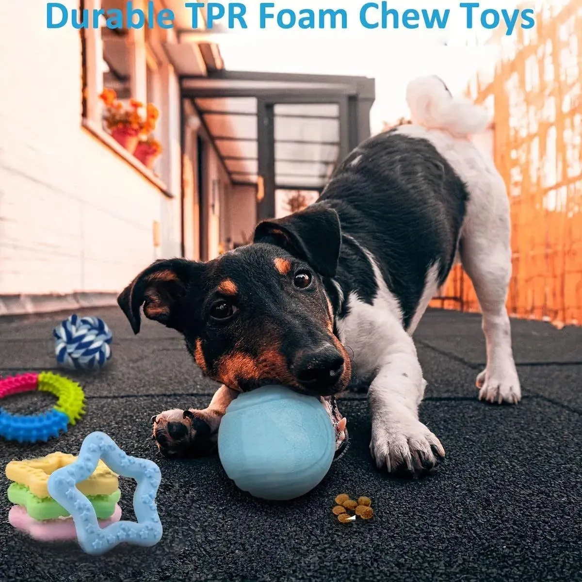 20 Pack Puppy Chew Toys - Teething Rings, Ropes, & Rubber Balls