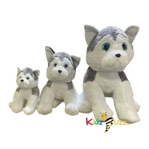 75cm Cute Husky Soft Toy- Soft Plush Toy