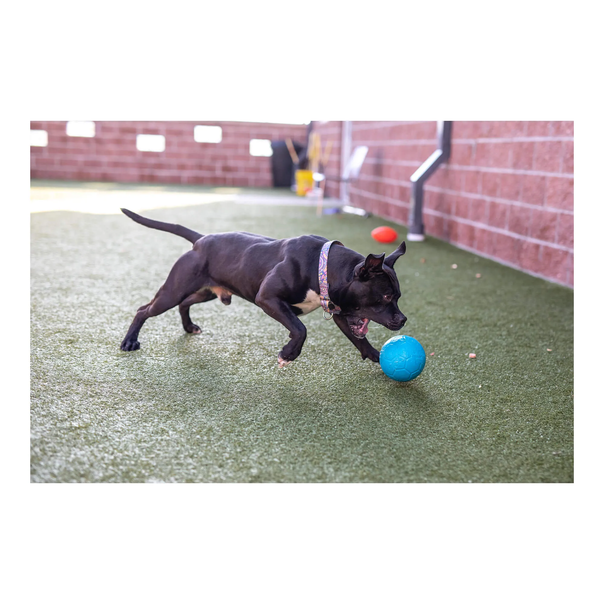 8" Jolly Soccer Ball