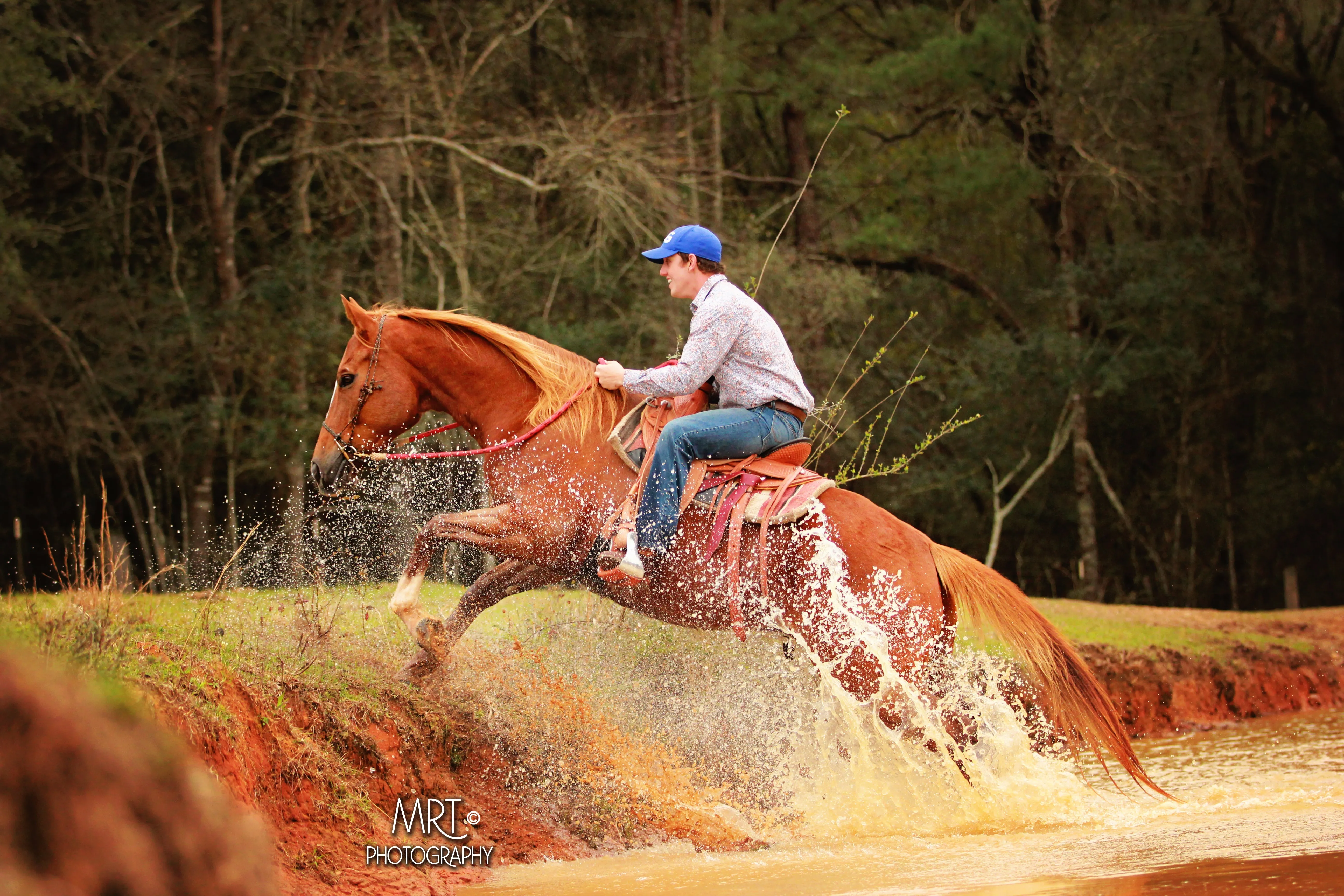 All-Inclusive Retreat For 4 Plus 30 Days Of Horse Training For 1 Horse!