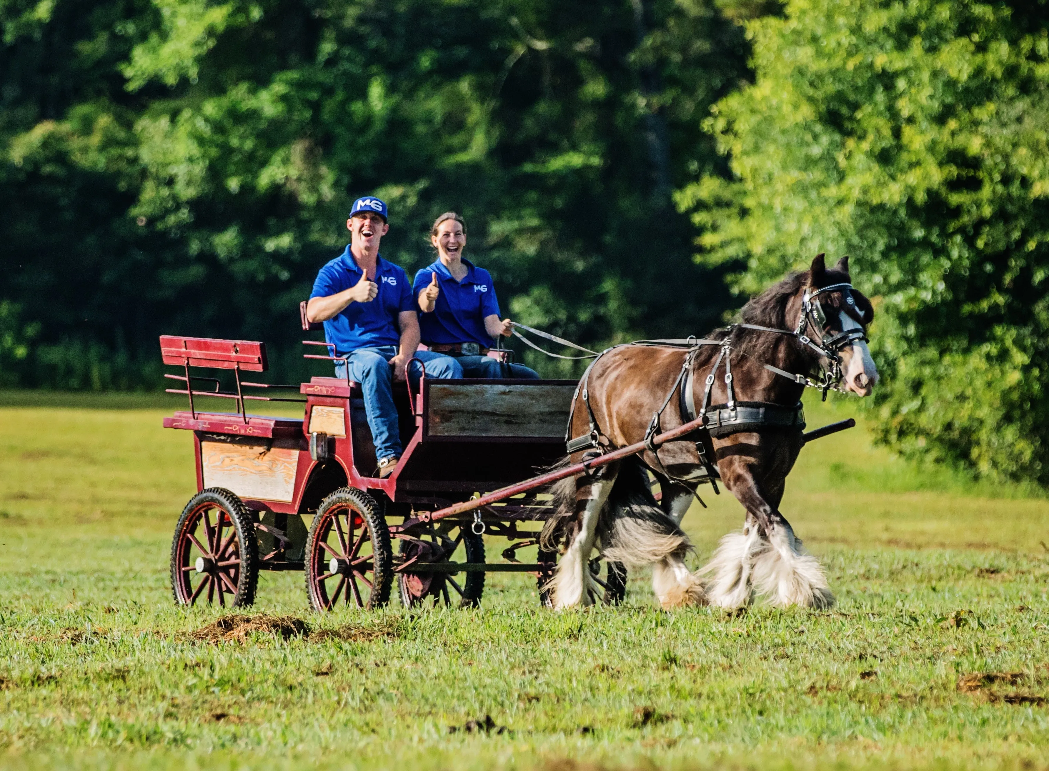 All-Inclusive Retreat For 4 Plus 30 Days Of Horse Training For 1 Horse!