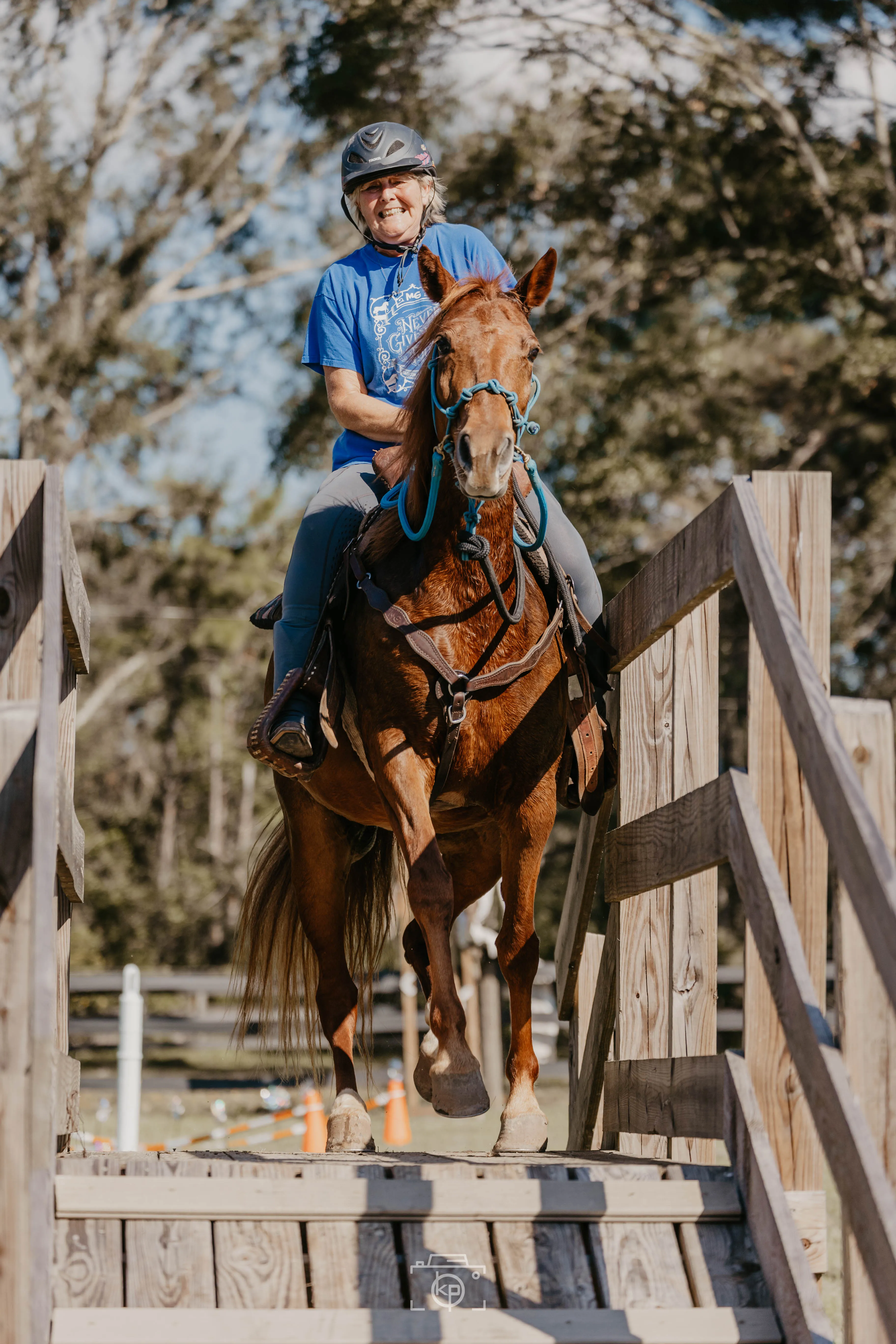 All-Inclusive Retreat For 4 Plus 30 Days Of Horse Training For 1 Horse!