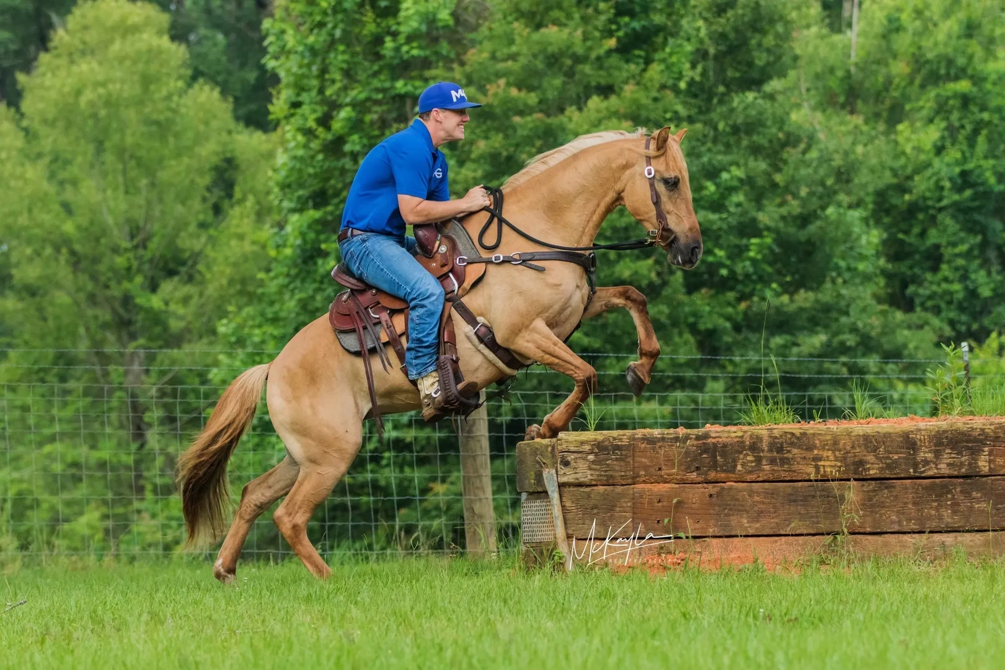 All-Inclusive Retreat For 4 Plus 30 Days Of Horse Training For 1 Horse!