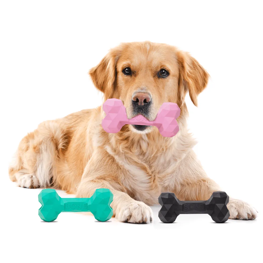 Barkbutler Chu the bone Treat Dispensing Toy for Dogs (Pink)