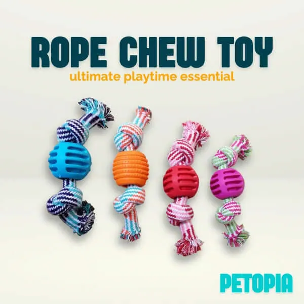 Bite Resistant Rope Chewing Toy for Dogs