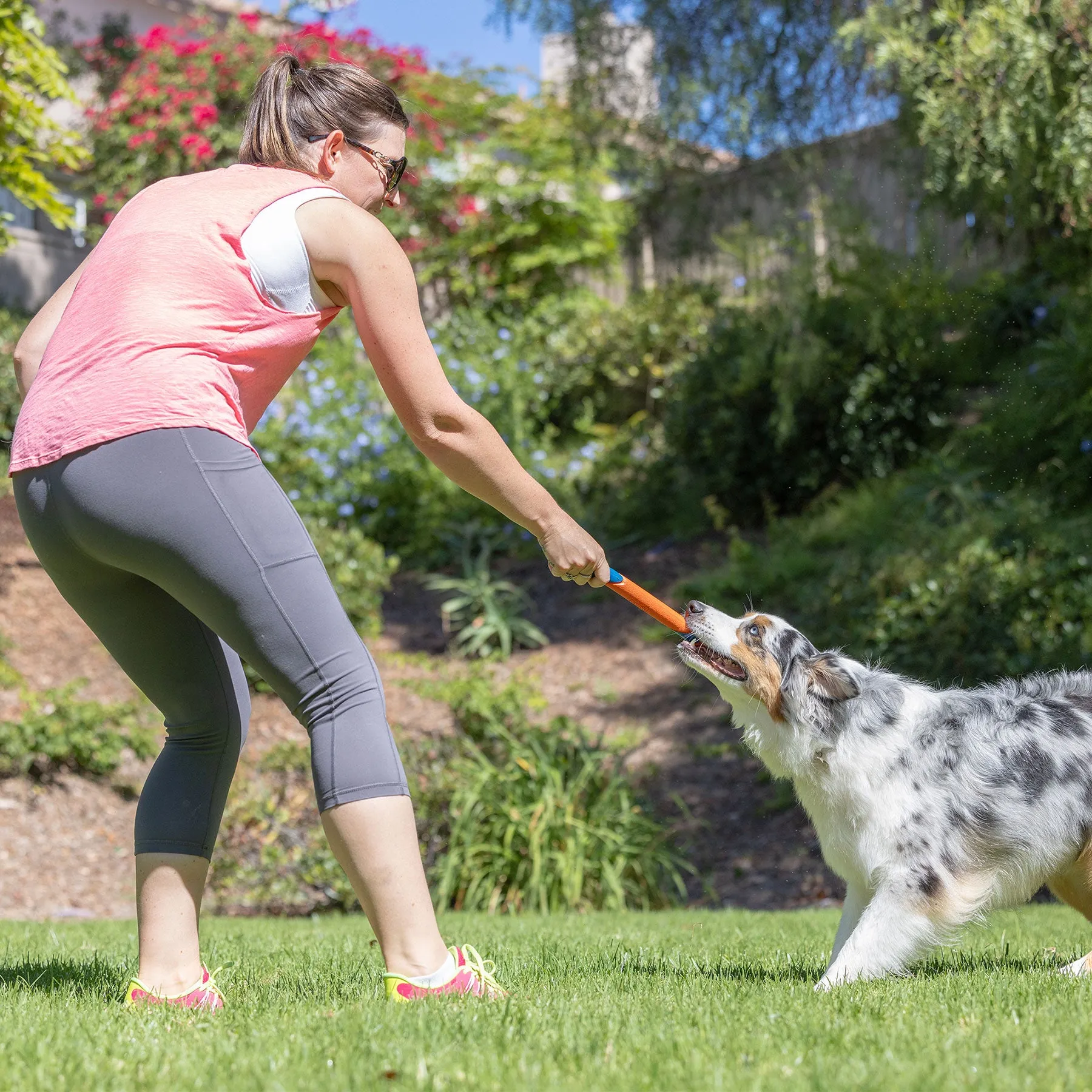 Chuckit! Ultra Fetch Stick