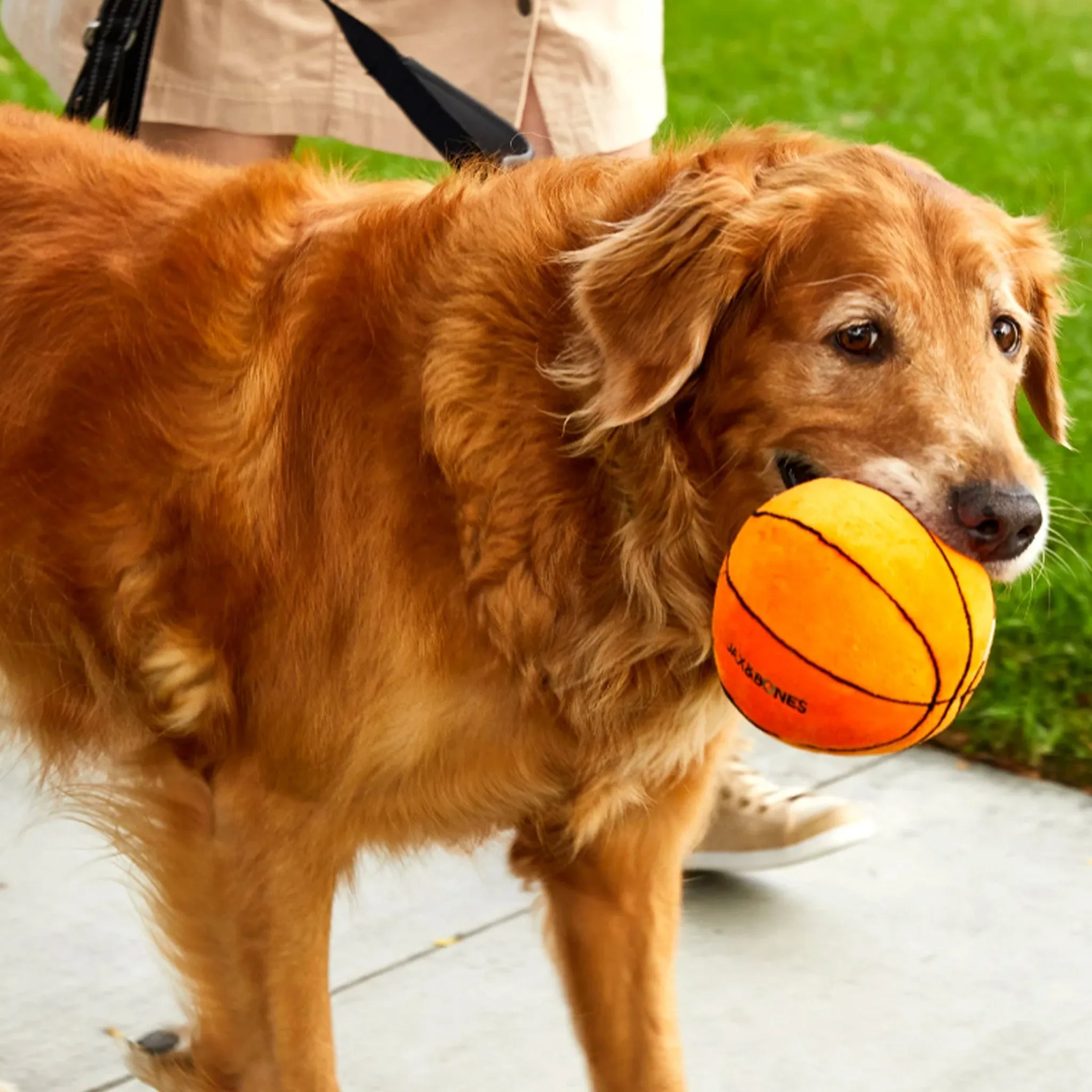 Jax & Bones Plush Toy - Basketball