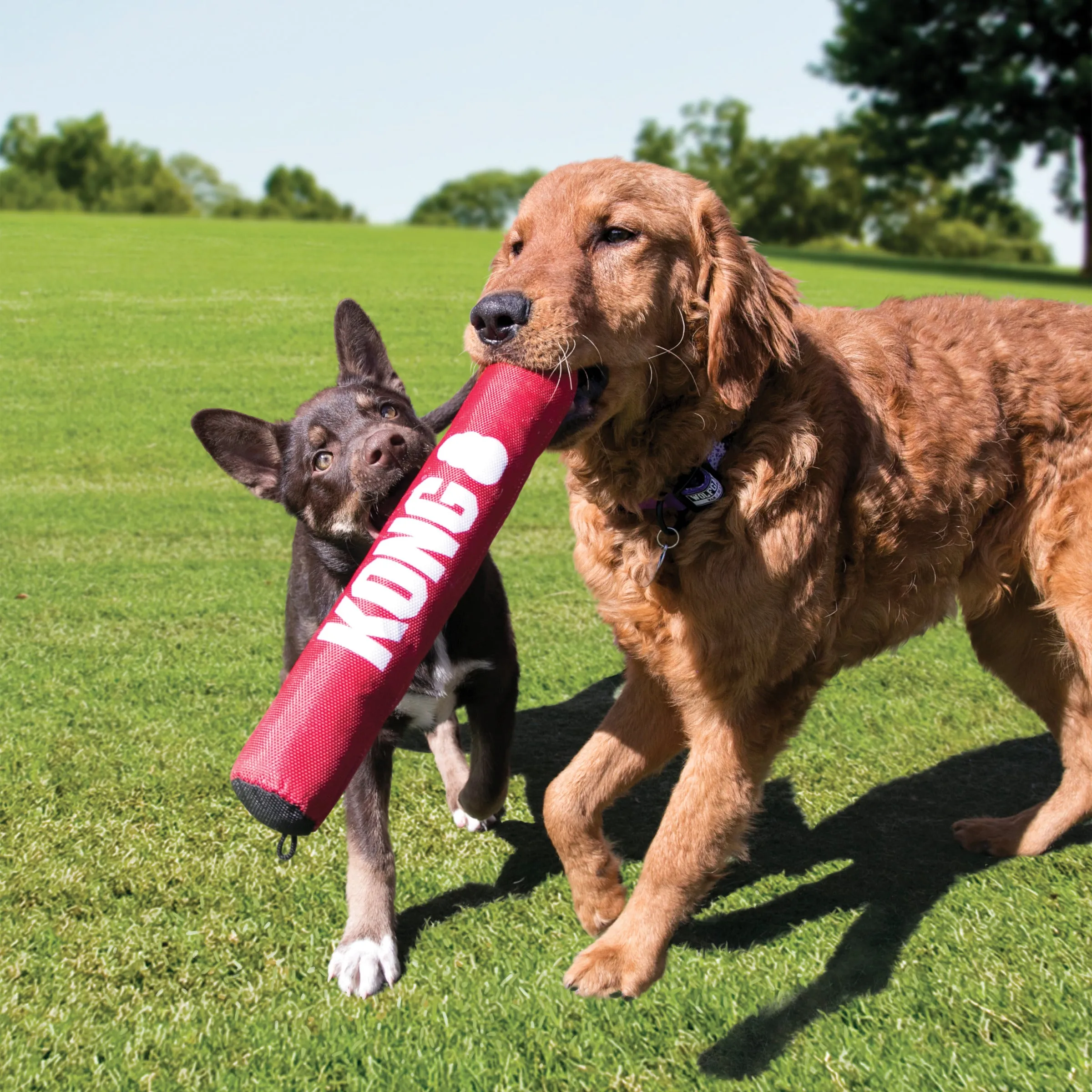 Kong Signature Stick, Dog Toy