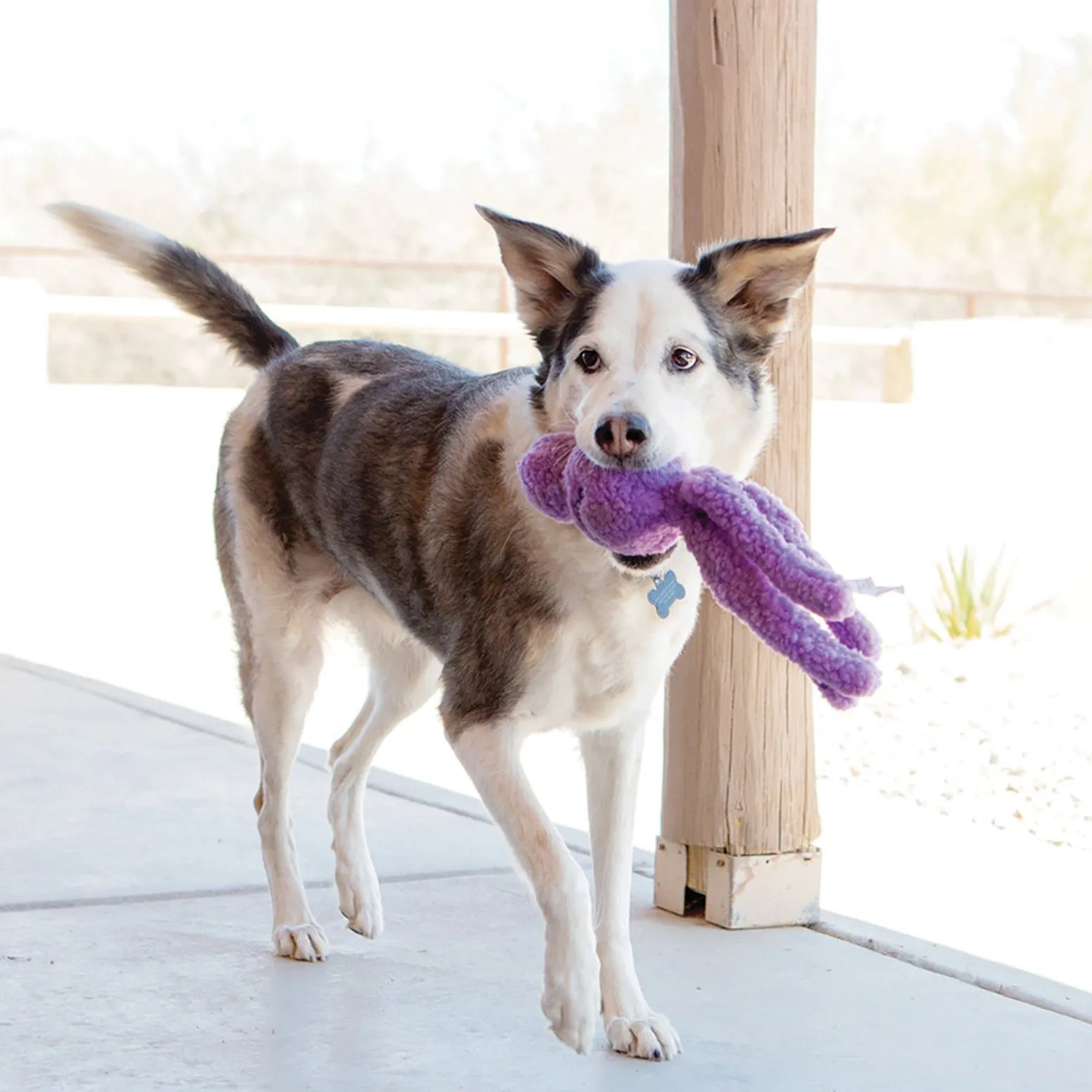 Kong Snugga Wubba Dog Toy