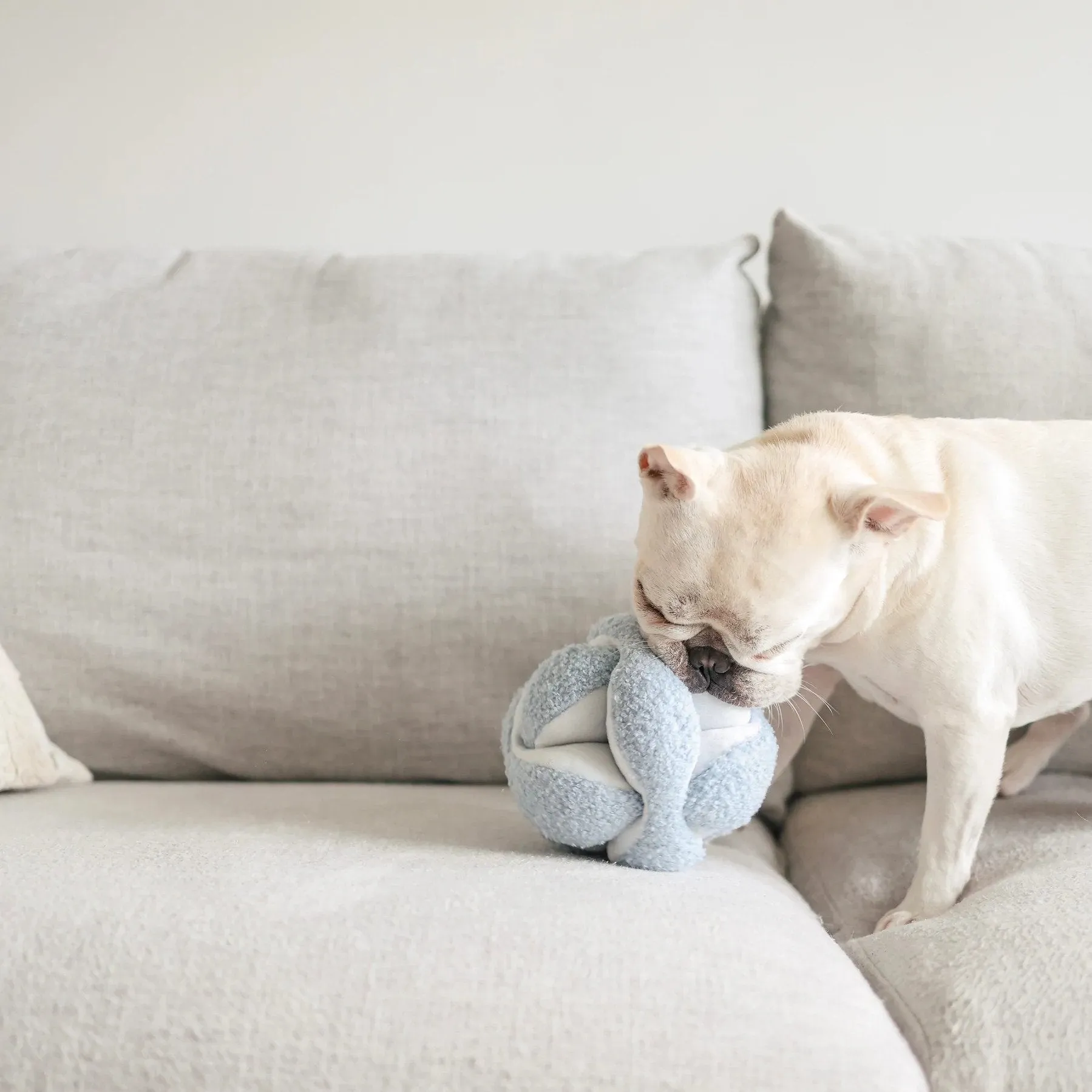 Monti-Crinkly and Squeaky Snuffle Ball Dog Toy