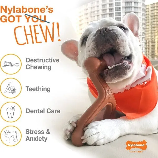 Nylabone Durachew Big Chew; Knot Bone