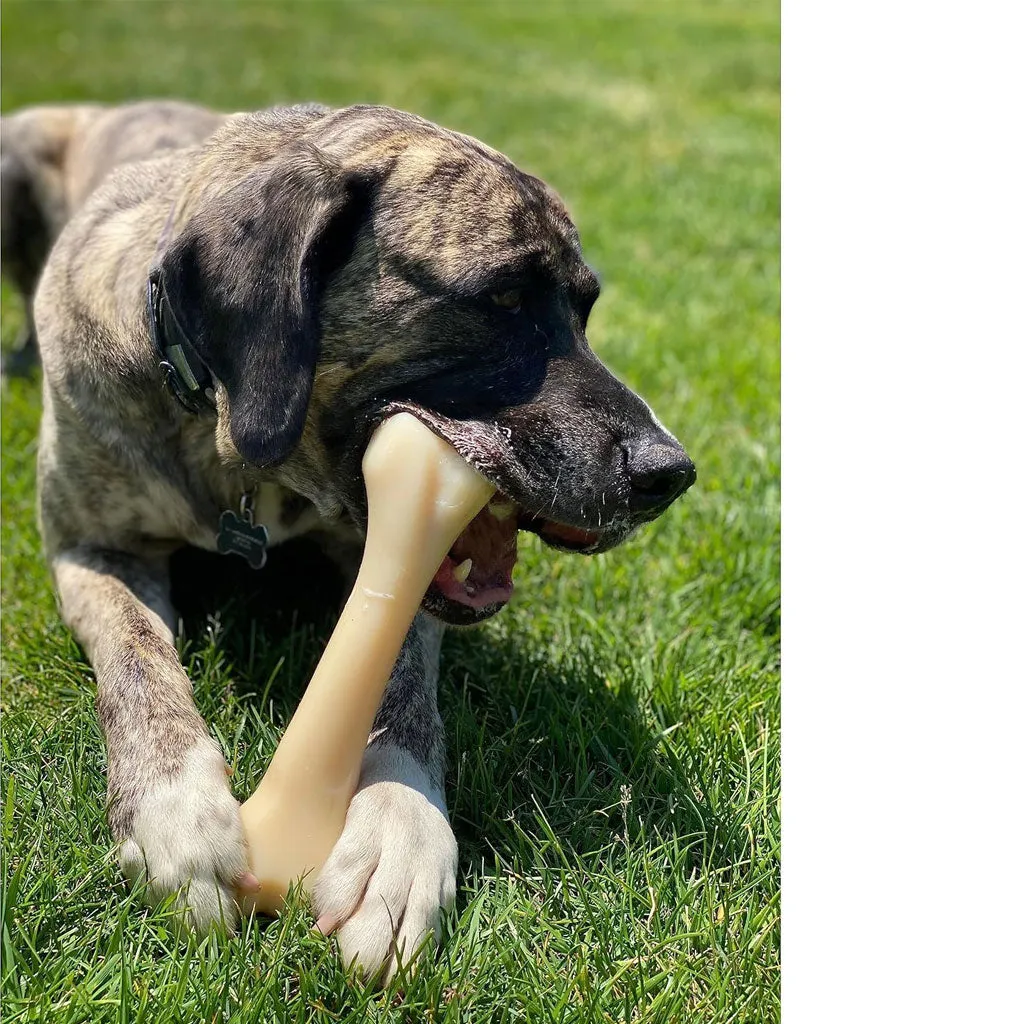 Nylabone Power Chew Monster Bone Big Dog Chew Toy Chicken, XX-Large