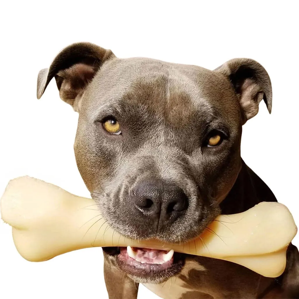 Nylabone Power Chew Monster Bone Big Dog Chew Toy Chicken, XX-Large