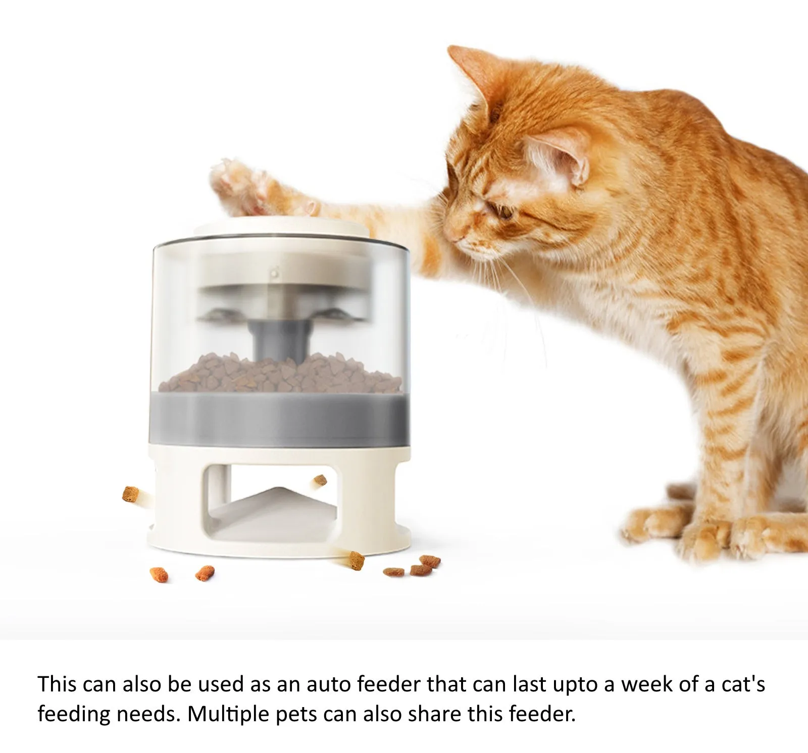 Pet Fun Puzzle Feeder