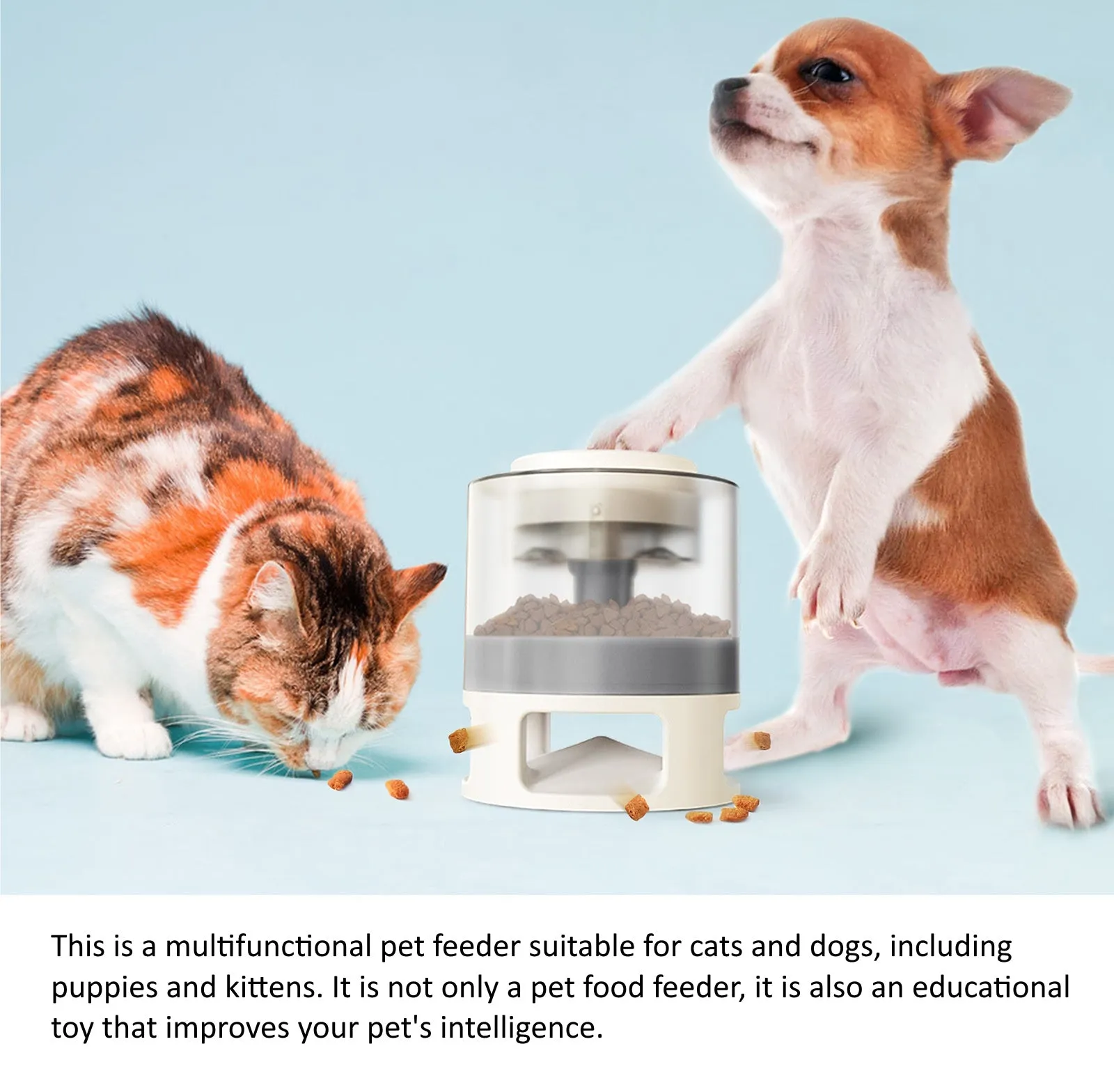 Pet Fun Puzzle Feeder