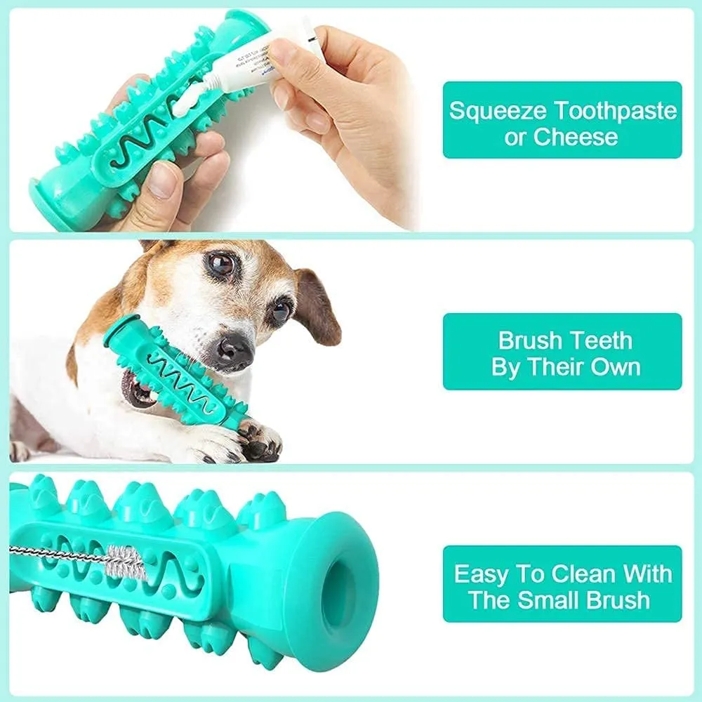 QUMY Dog Chew Toothbrush Toys Molar Stick