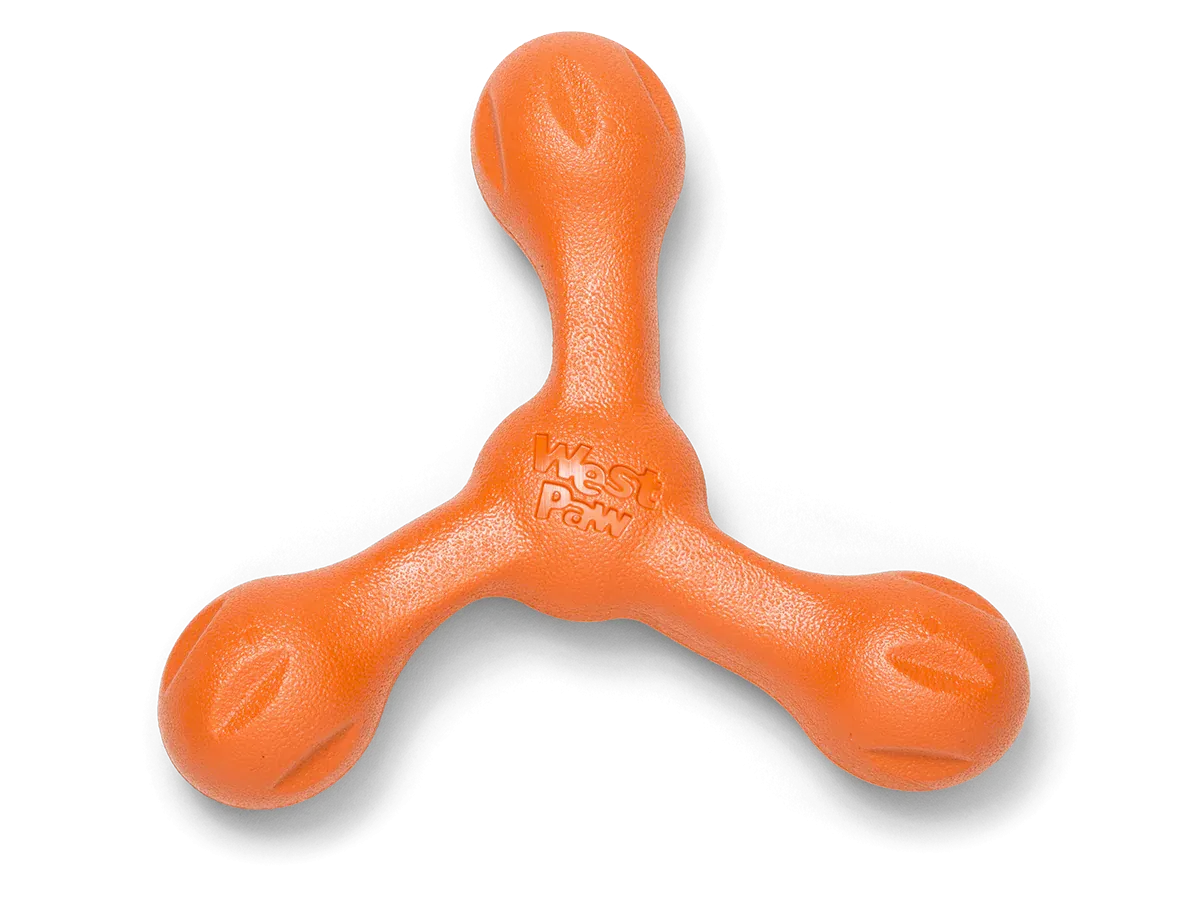 Toss and Fetch Dog toy, Zogoflex Echo Skamp