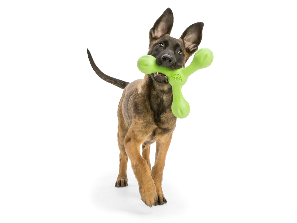 Toss and Fetch Dog toy, Zogoflex Echo Skamp