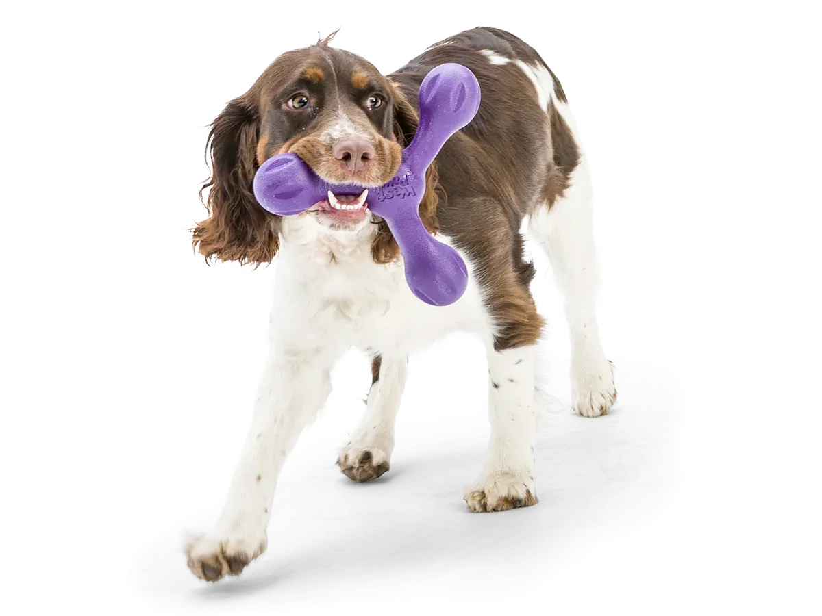 Toss and Fetch Dog toy, Zogoflex Echo Skamp