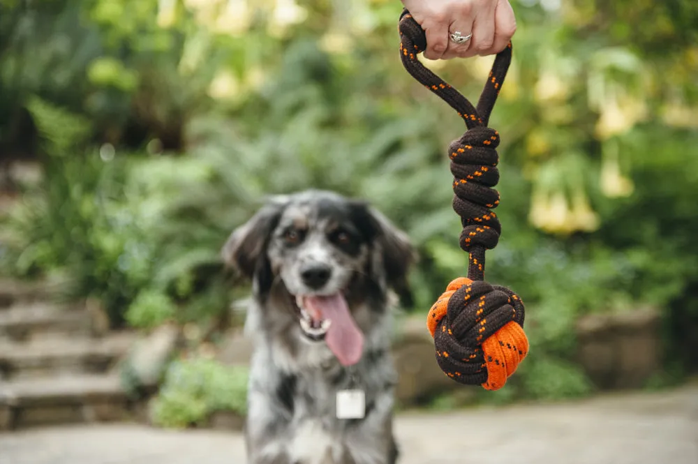 Tug Ball Rope Toy